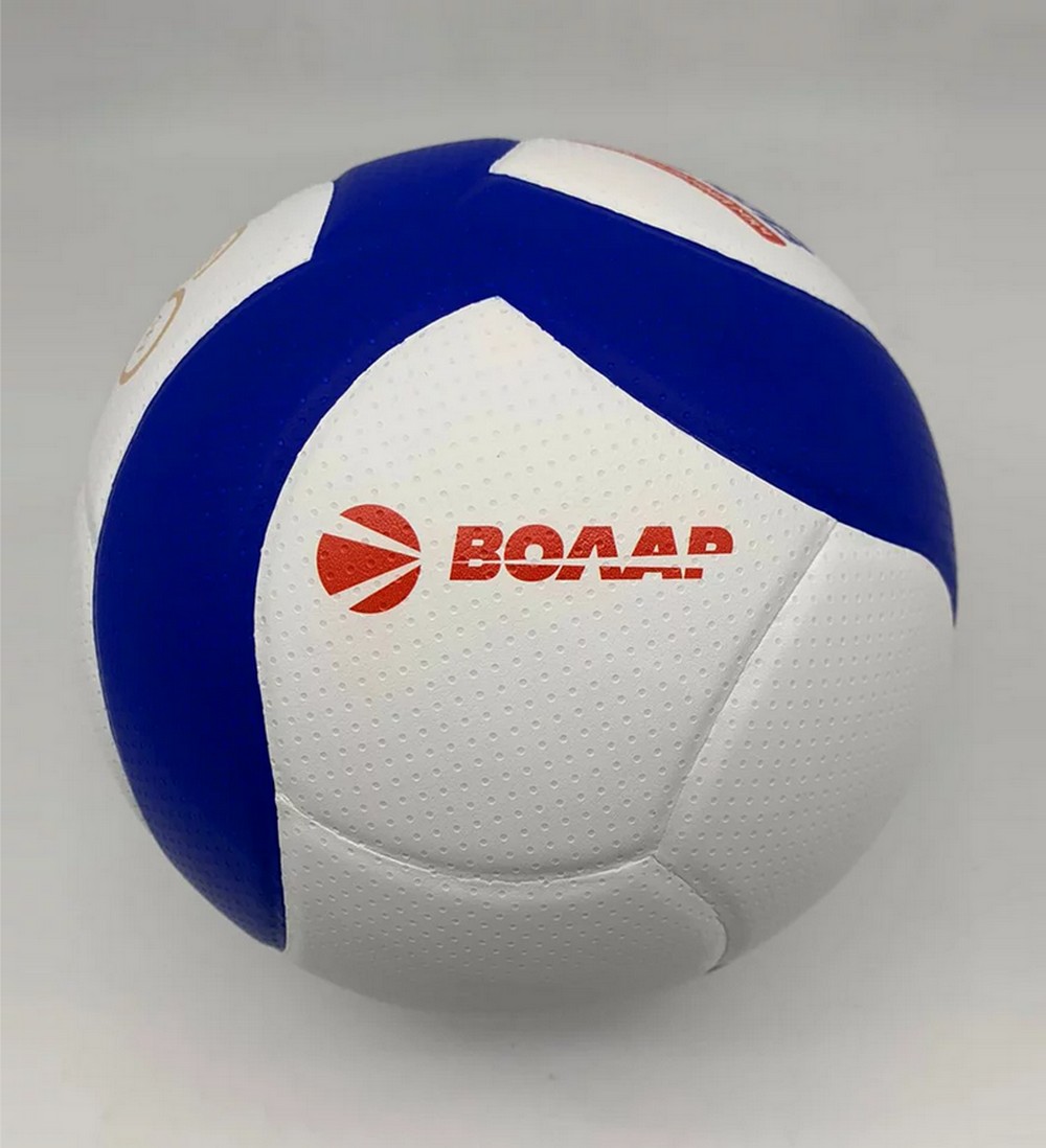 Волейбольный мяч Волар VL-100